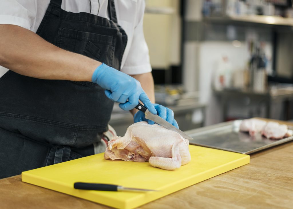 distributor ayam potong